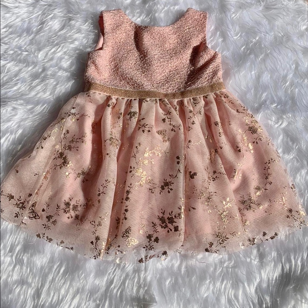Children’s Place Pink Gold Embroidery Tulle Dress